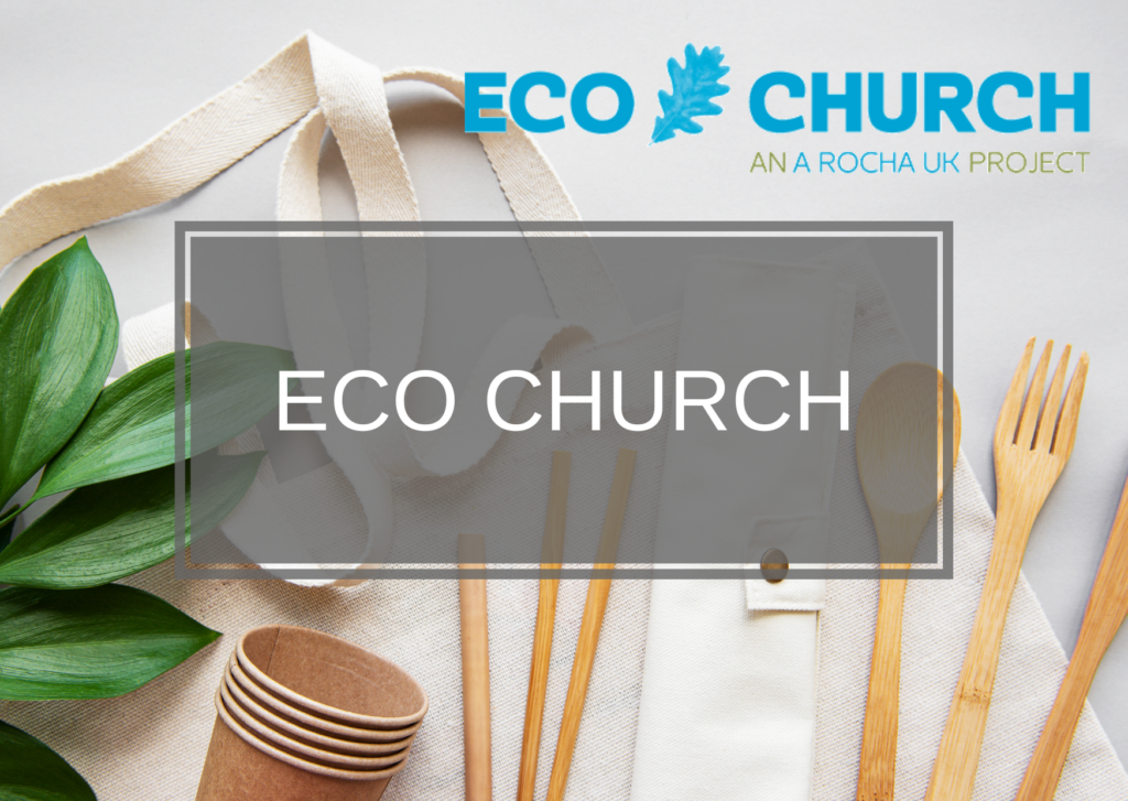Eco Church image